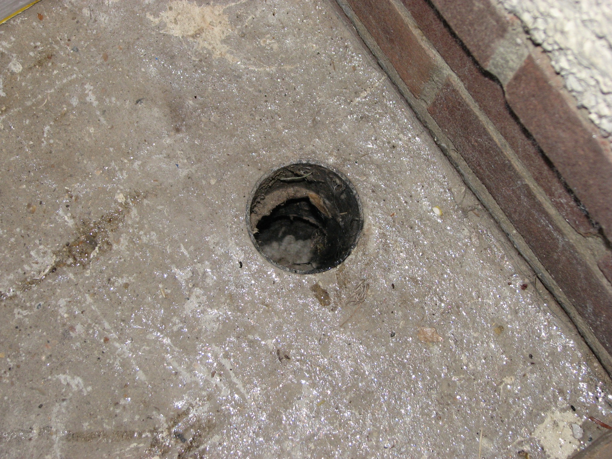 The drainage pipe where the slug was hiding